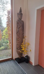 Accueil-Magnolias-Woluwe centre bien-être Woluwe Les Magnolias